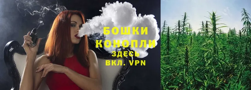 Каннабис OG Kush  Выкса 